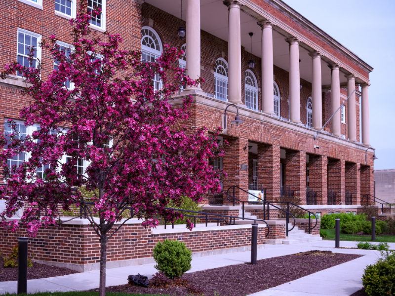 Spring Fever Savings